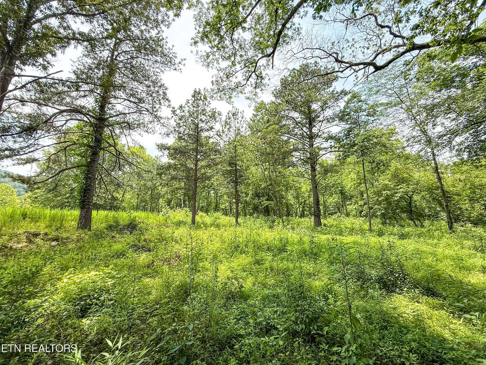 0.55 Acres of Residential Land for Sale in Oak Ridge, Tennessee