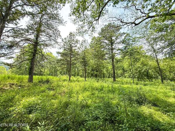 0.55 Acres of Residential Land for Sale in Oak Ridge, Tennessee