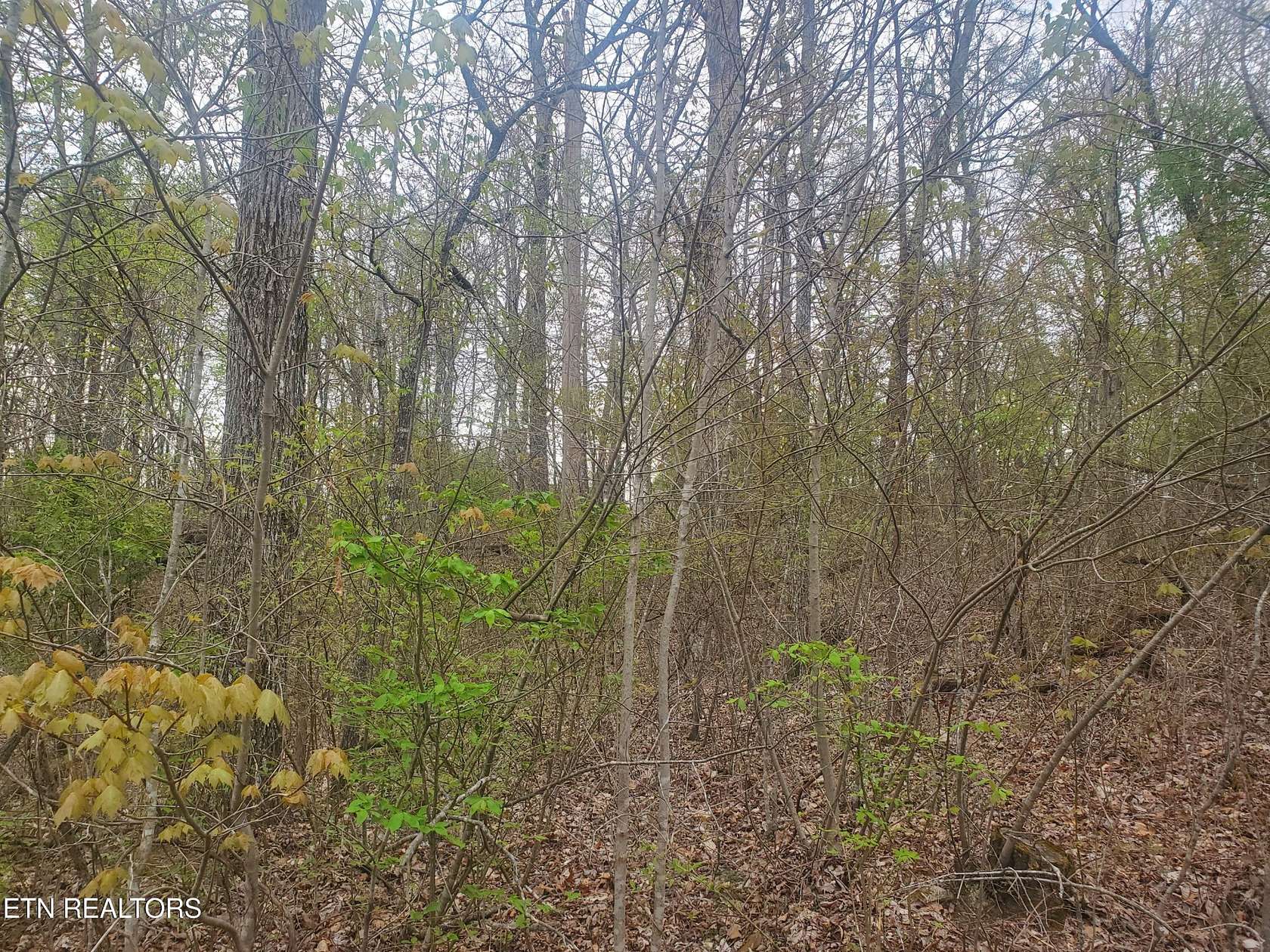 1 Acre of Residential Land for Sale in Crossville, Tennessee