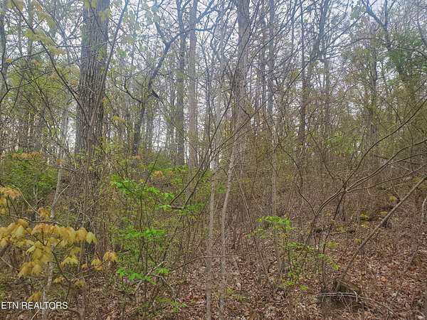 1 Acre of Residential Land for Sale in Crossville, Tennessee