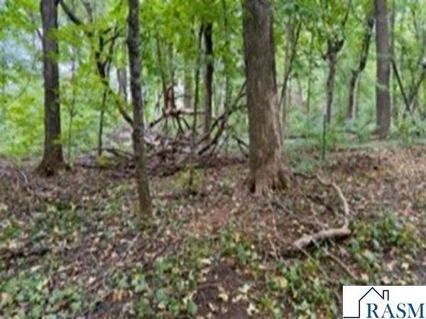 1 Acre of Residential Land for Sale in Cleveland, Minnesota