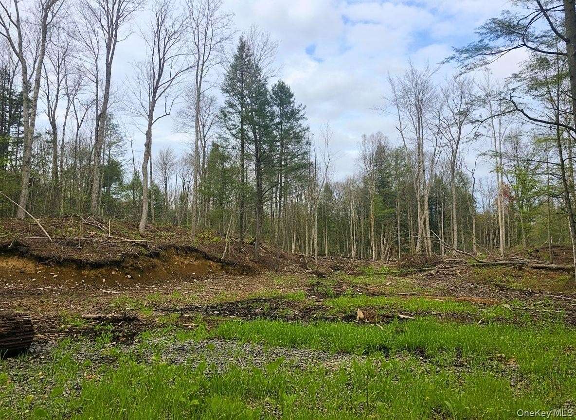 18.5 Acres of Recreational Land for Sale in Bleecker Town, New York