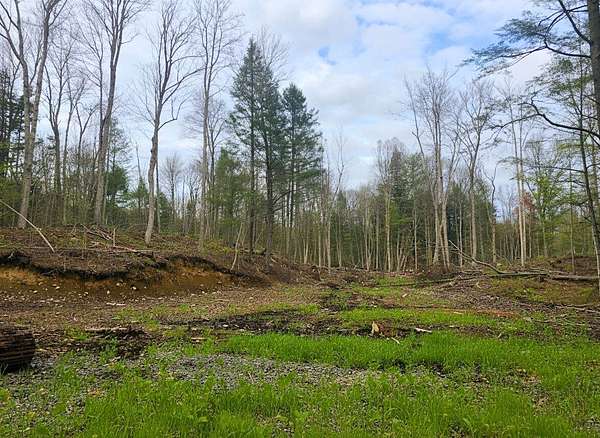 18.5 Acres of Recreational Land for Sale in Gloversville, New York