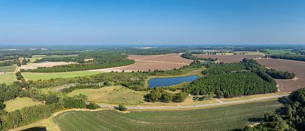 137 Acres of Recreational Land & Farm for Auction in Hartsfield, Georgia