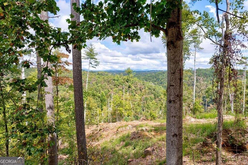 1.14 Acres of Residential Land for Sale in Ellijay, Georgia