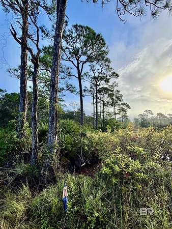0.51 Acres of Residential Land for Sale in Gulf Shores, Alabama