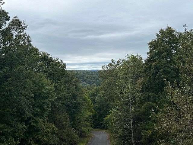 0.51 Acres of Residential Land for Sale in Rocky Face, Georgia