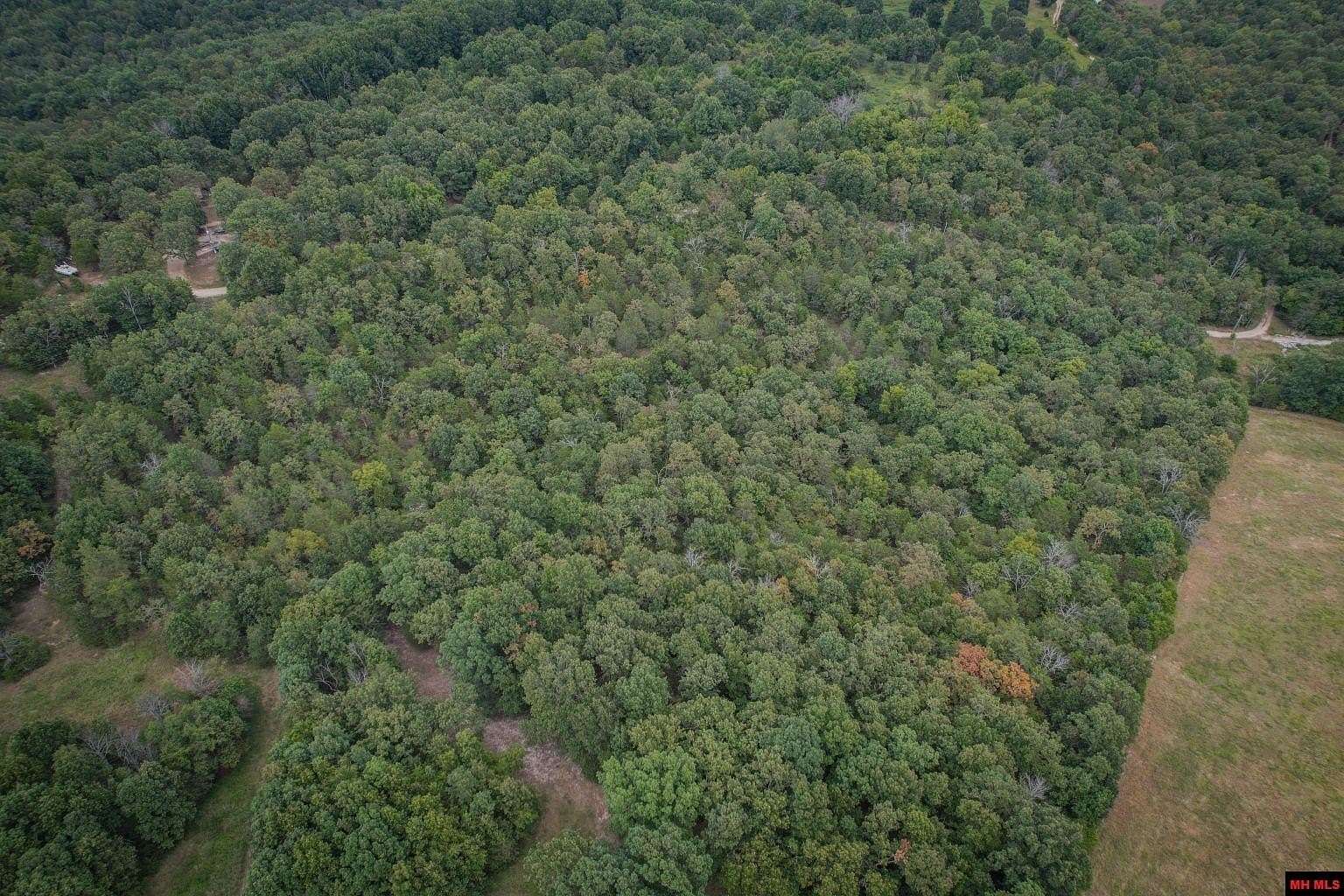 10.6 Acres of Land for Sale in Clarkridge, Arkansas