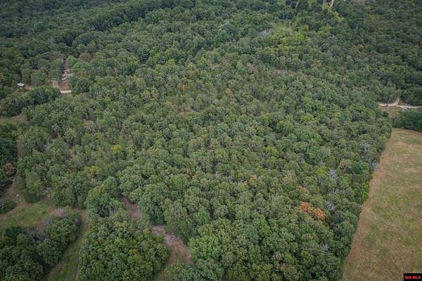 10.6 Acres of Land for Sale in Clarkridge, Arkansas
