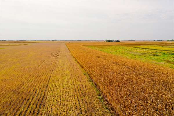 153 Acres of Recreational Land & Farm for Auction in Rockwell City, Iowa