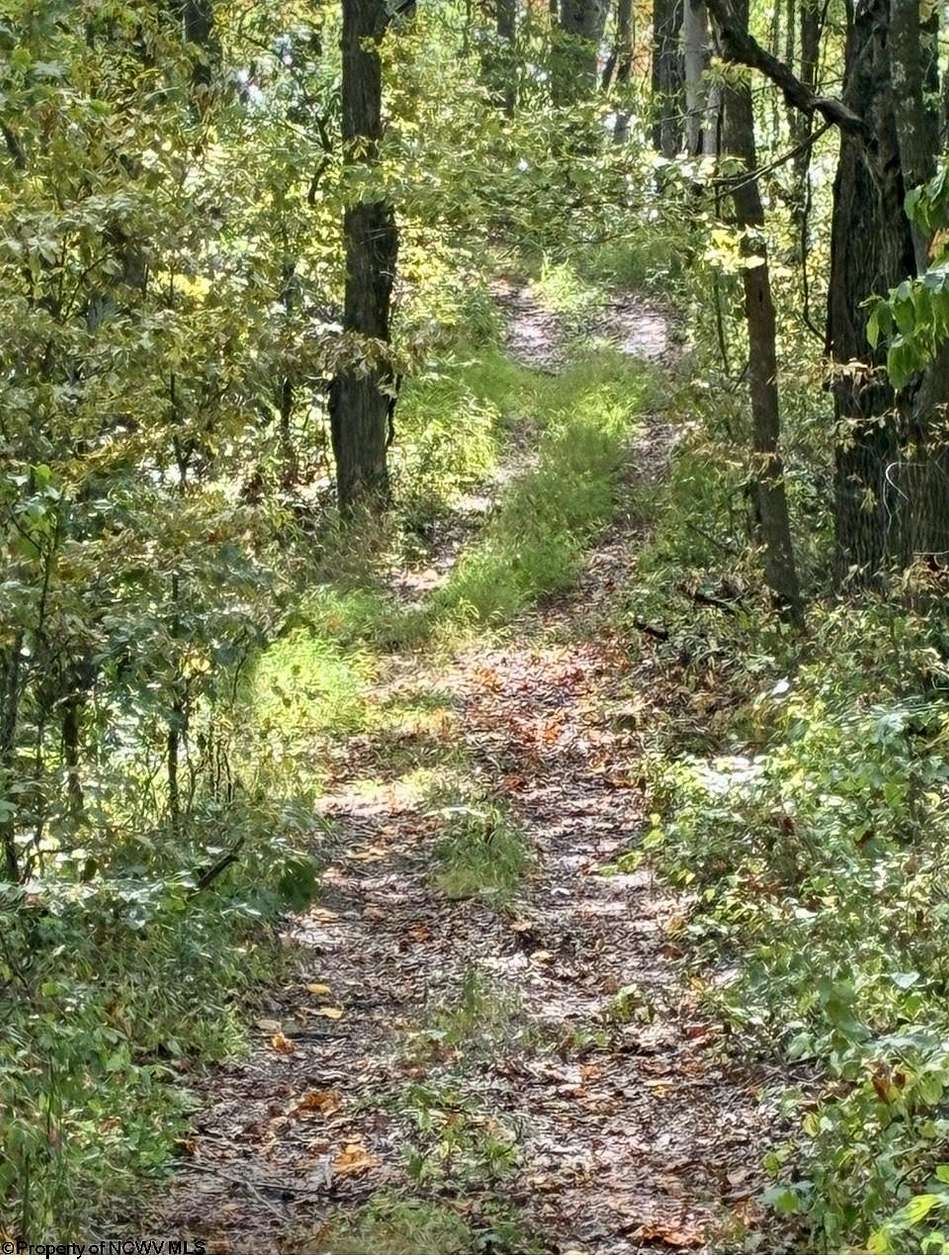 116 Acres of Recreational Land & Farm for Sale in Salem, West Virginia