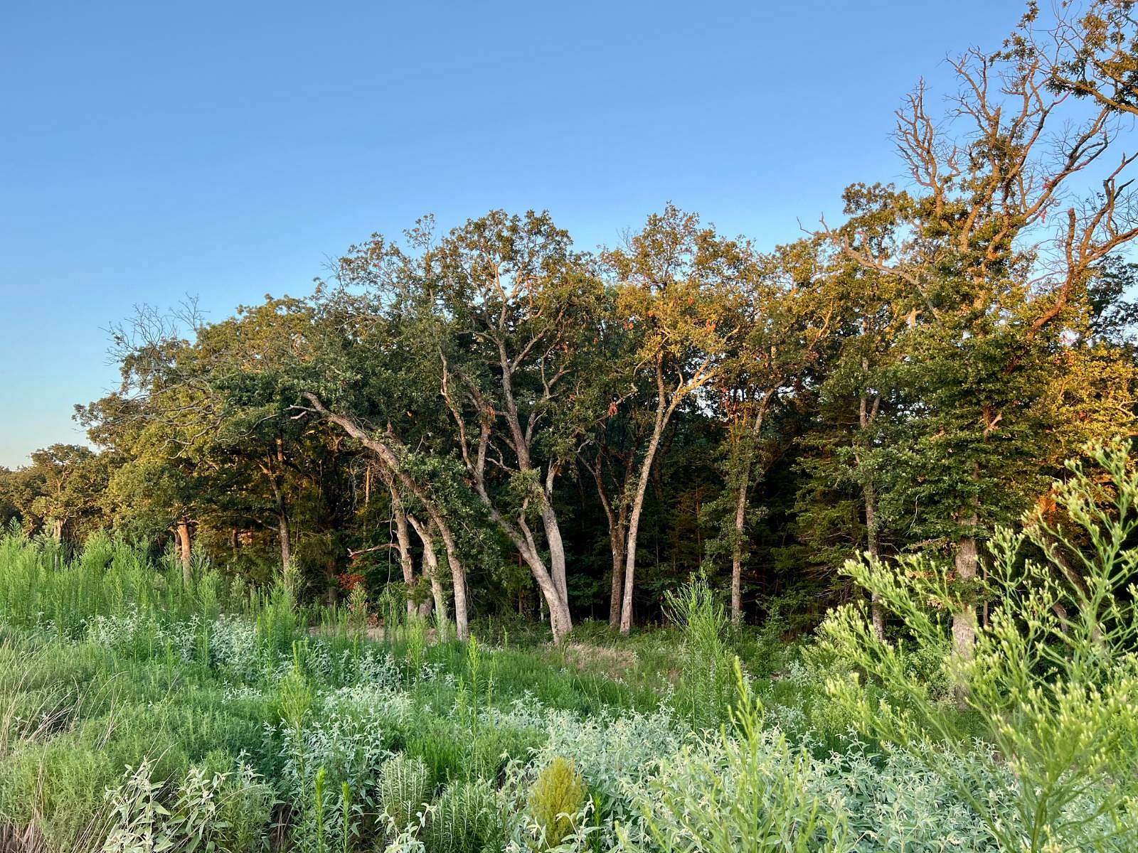 4 Acres of Residential Land for Sale in Colbert, Oklahoma