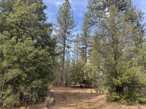 119 Acres of Recreational Land for Sale in Whitmore, California
