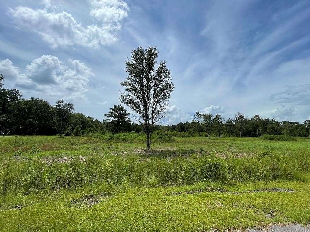 1 Acre of Residential Land for Sale in Picayune, Mississippi