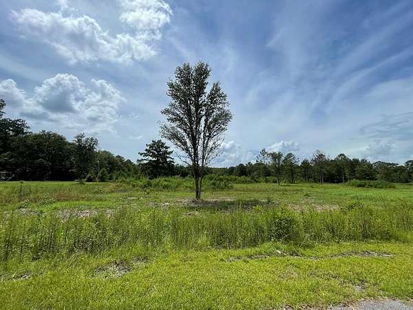 1 Acre of Residential Land for Sale in Picayune, Mississippi