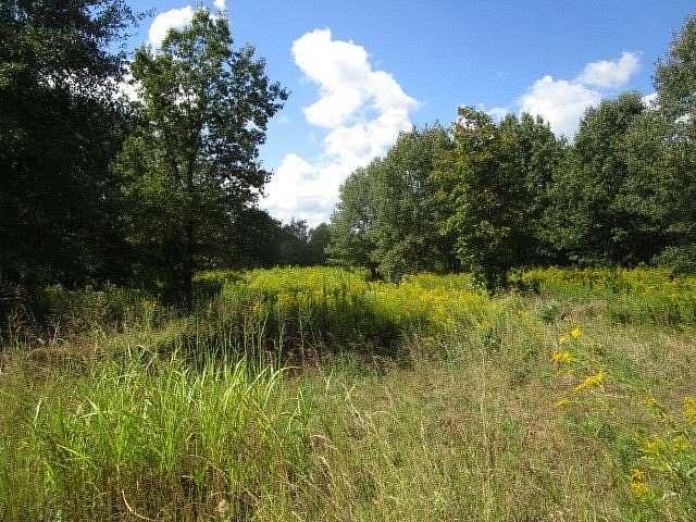 77.2 Acres of Land for Sale in Texarkana, Texas