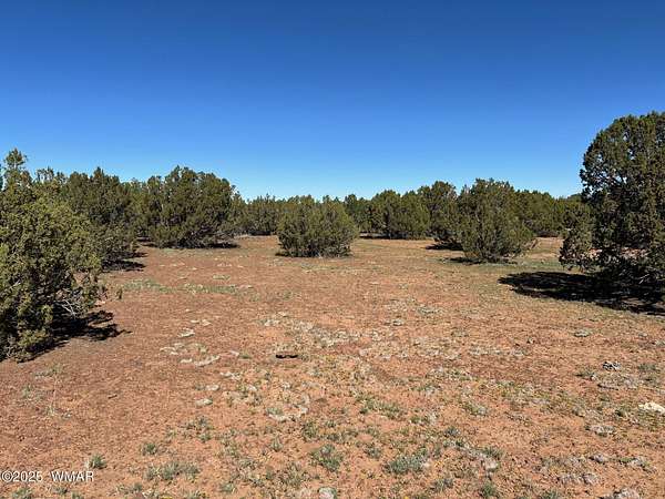 2.43 Acres of Residential Land for Sale in Show Low, Arizona