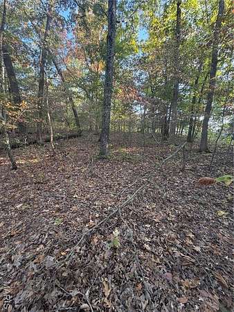 0.43 Acres of Residential Land for Sale in Bonne Terre, Missouri