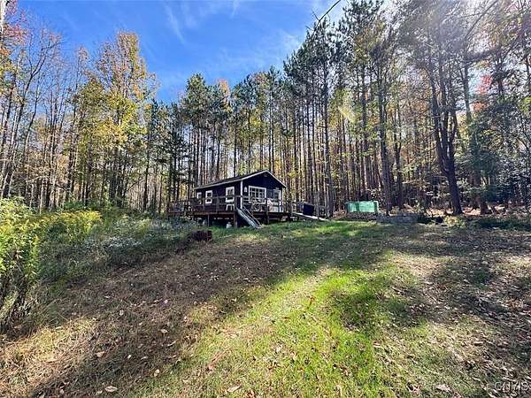 99.1 Acres of Land for Sale in Belfast, New York