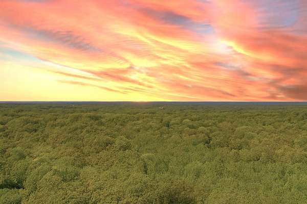 183 Acres of Land for Sale in Charlotte, Tennessee