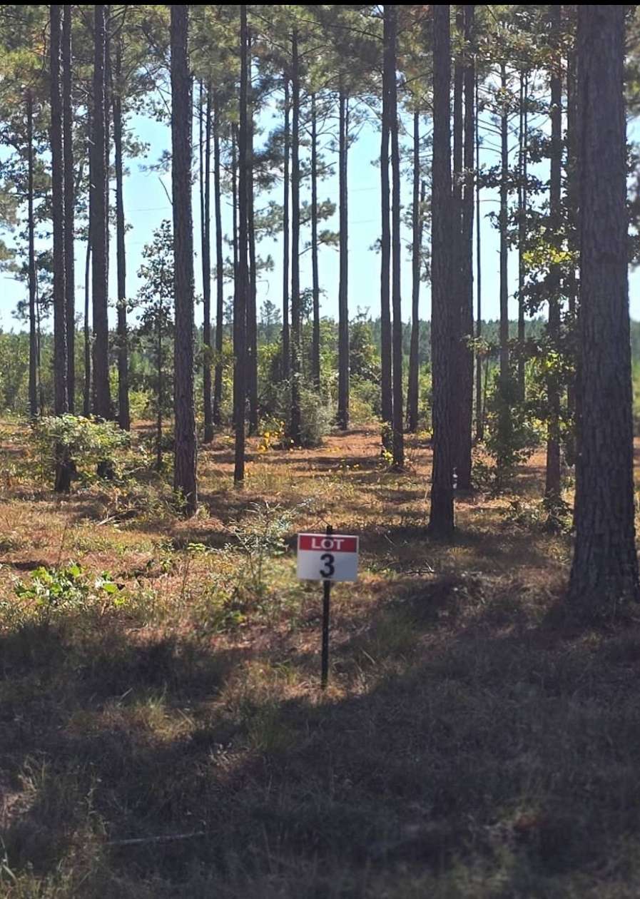 0.97 Acres of Residential Land for Sale in Florien, Louisiana