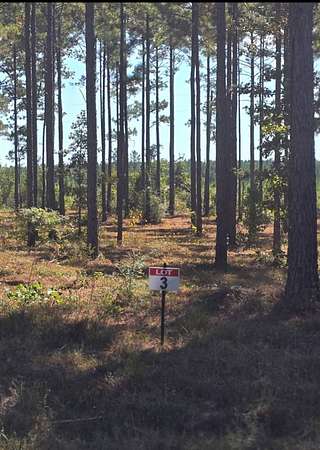0.97 Acres of Residential Land for Sale in Florien, Louisiana