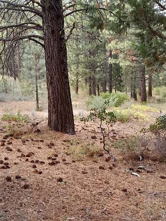 2 Acres of Land for Sale in Portola, California