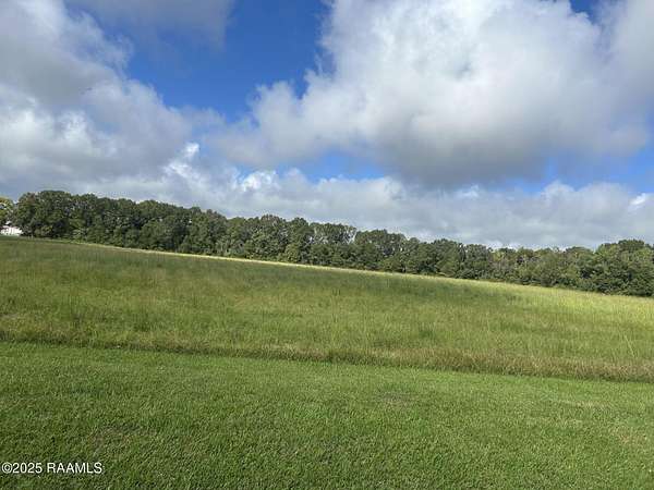 13.2 Acres of Land for Sale in Ville Platte, Louisiana