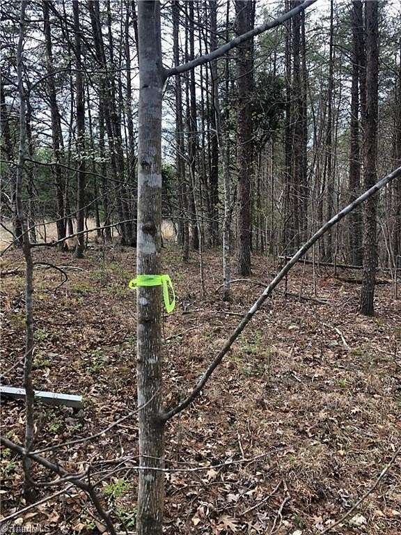 10.1 Acres of Land for Sale in Stoneville, North Carolina