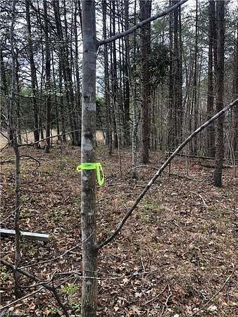 10.1 Acres of Land for Sale in Stoneville, North Carolina