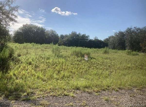 0.23 Acres of Residential Land for Sale in Citrus Springs, Florida
