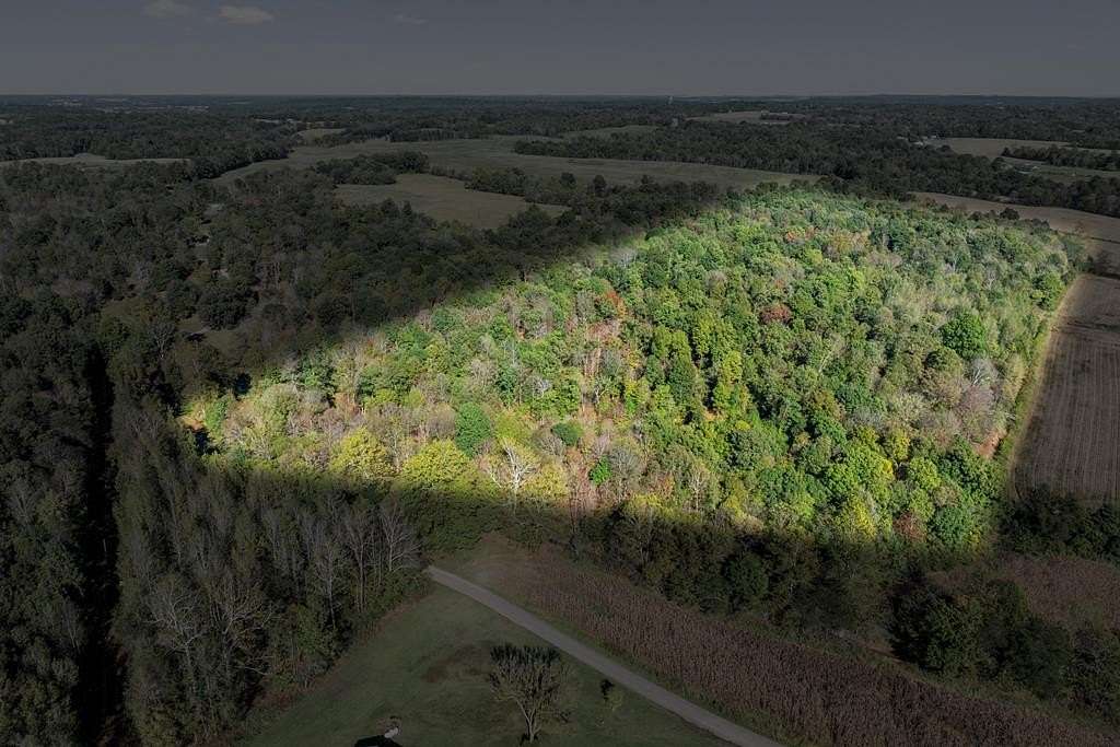 42 Acres of Recreational Land for Sale in Dixon, Kentucky