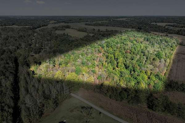 42 Acres of Recreational Land for Sale in Dixon, Kentucky