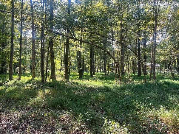 10.2 Acres of Land for Sale in Marietta, Georgia