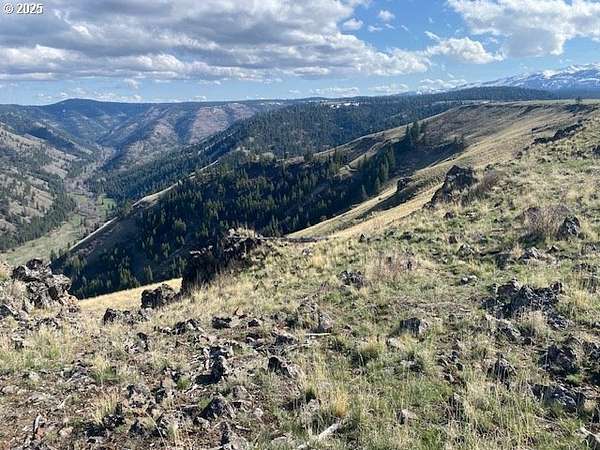 315 Acres of Recreational Land & Farm for Sale in Joseph, Oregon