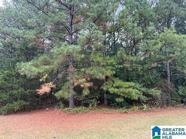 1.13 Acres of Residential Land for Sale in Talladega, Alabama
