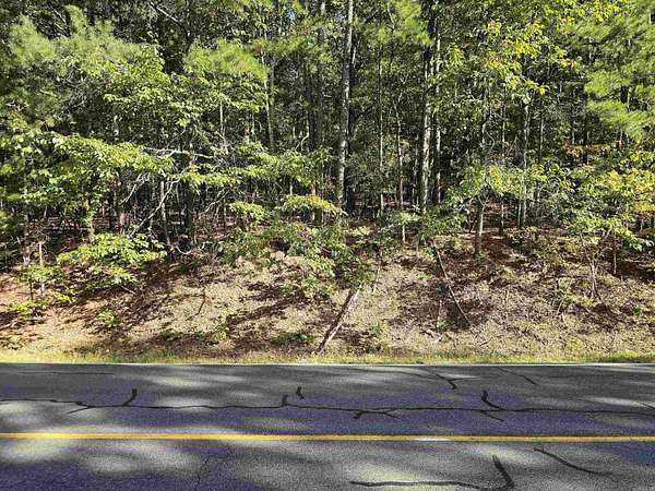 0.26 Acres of Residential Land for Sale in Hot Springs Village, Arkansas