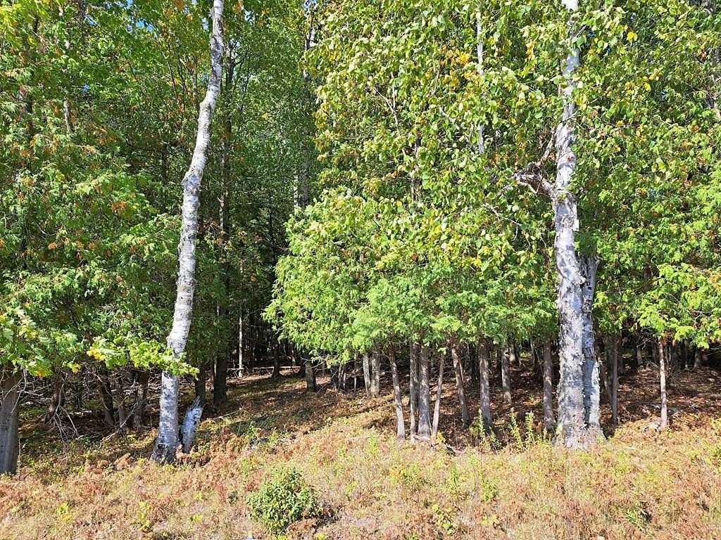 20 Acres of Recreational & Residential Land for Sale in Sturgeon Bay, Wisconsin