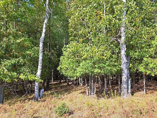 20 Acres of Recreational & Residential Land for Sale in Sturgeon Bay, Wisconsin