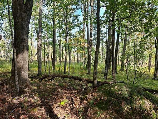 20 Acres of Recreational & Residential Land for Sale in Sturgeon Bay, Wisconsin