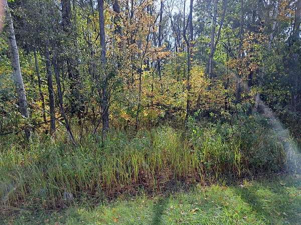 30 Acres of Recreational & Residential Land for Sale in Sturgeon Bay, Wisconsin