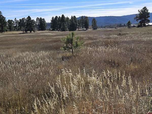 0.26 Acres of Residential Land for Sale in Pagosa Springs, Colorado