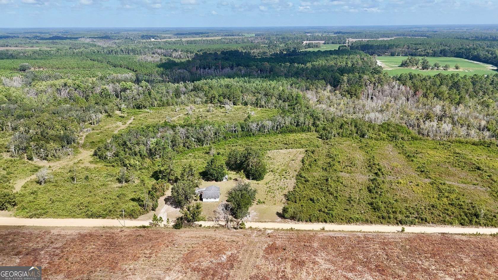 38 Acres of Recreational Land for Sale in Mershon, Georgia