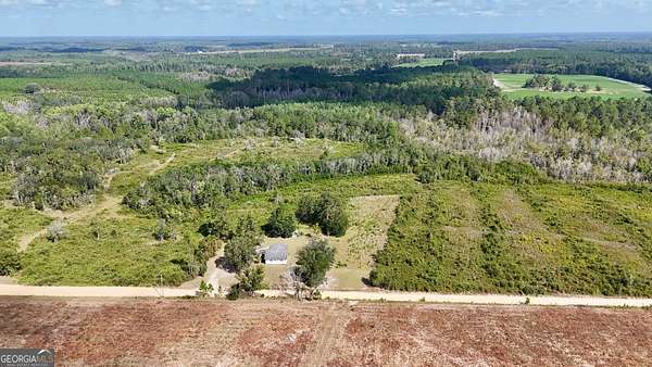 38 Acres of Recreational Land for Sale in Mershon, Georgia