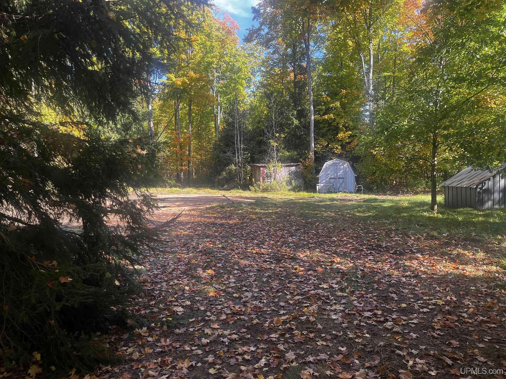 10 Acres of Recreational Land for Sale in Chatham, Michigan