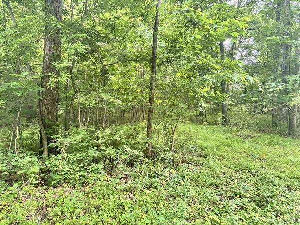 3.1 Acres of Residential Land for Sale in Clarksville, Tennessee
