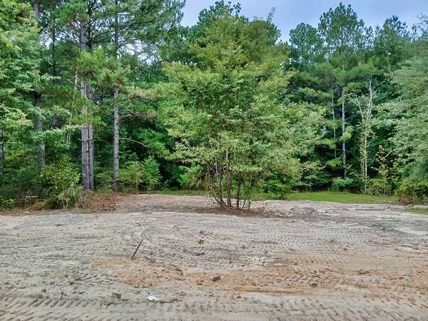 1 Acre of Residential Land for Sale in Patrick, South Carolina