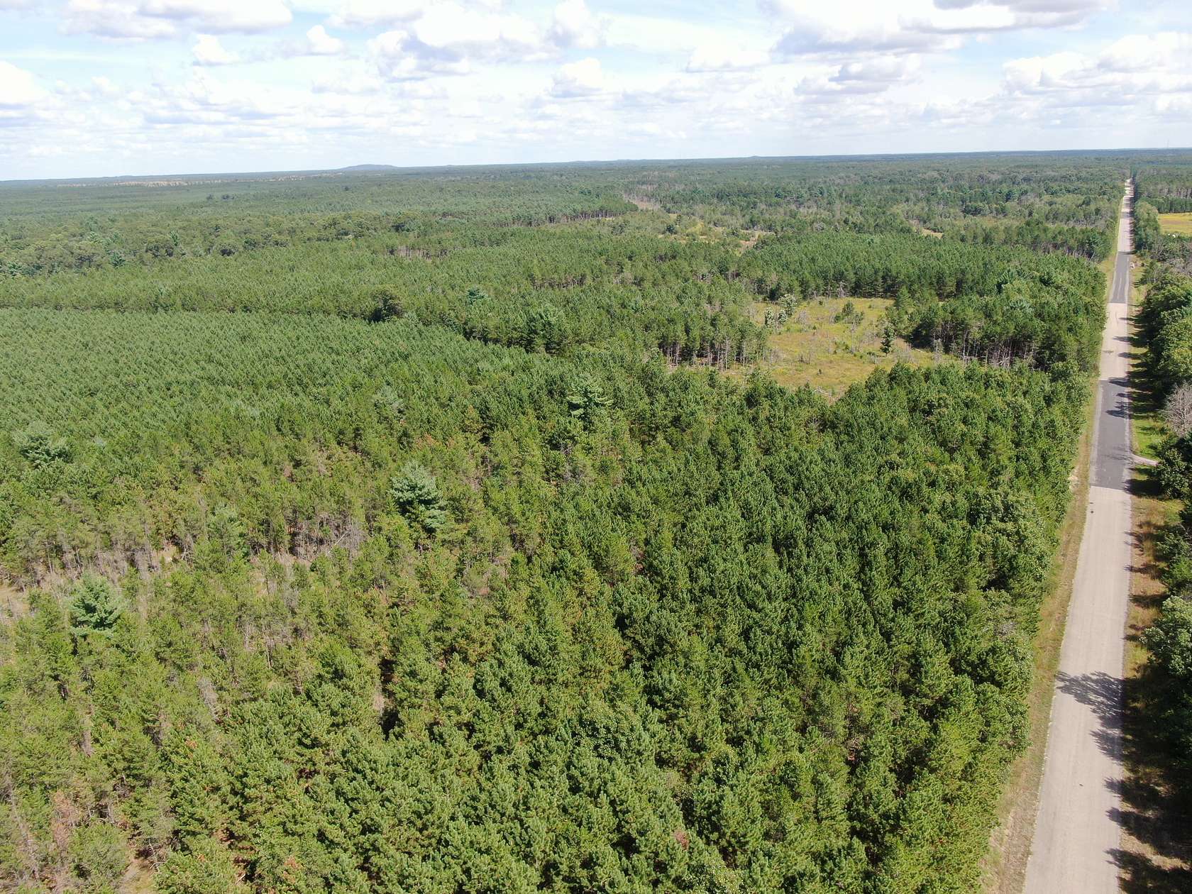 40 Acres of Recreational Land & Farm for Sale in Arkdale, Wisconsin