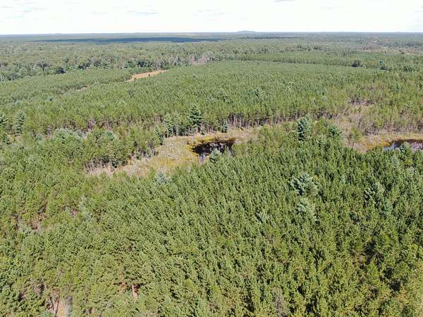40 Acres of Recreational Land & Farm for Sale in Arkdale, Wisconsin