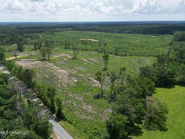 29 Acres of Land for Sale in Liberty, Mississippi